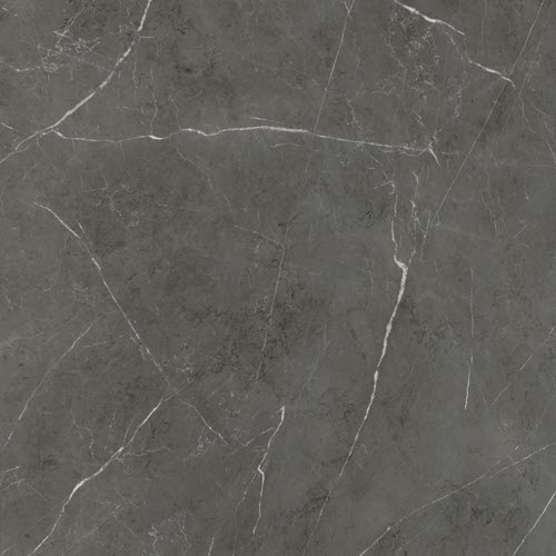35-561-MARMOTECAGREY-STONE-500